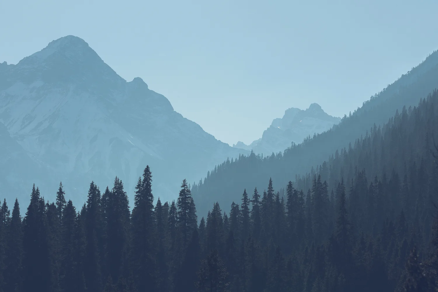 Mountain Trees Background